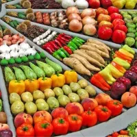 پذیرش سفارش محصولات میوه و فرنگی و سبزی نمونه