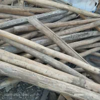 خرید چوب خشک .تر .تیره وضایعات