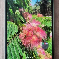 فروش گوشی سامسونگ
