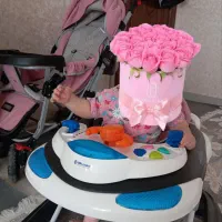 کالسکه و روروئک