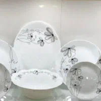 ارکوپال  مارک دسینی ۱۲ نفره