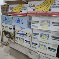 کارتن موزی بزرگ نو