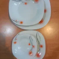 تعدادی ظروف آرکوپال