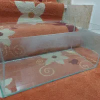 اکواریوم