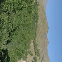 درآمد رایگان