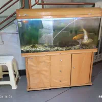 آکواریوم اصل