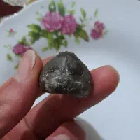 فسیل ،یا سنگ عجیب