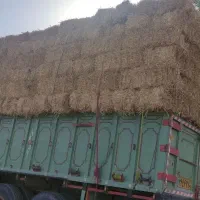 کاه پرس