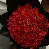 گل روبانی