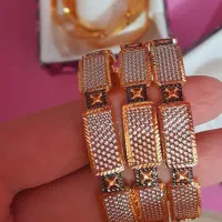 زیبا و مجلسی