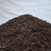 فروش چای کله مورچه ای هل دار