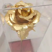 رز طلایی 24K داخل باکس شیشه‌ای