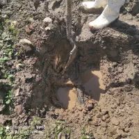 چاه زنی آب و فاضلاب تخریب کاری لوکشی هم انجام میدم