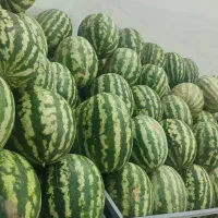 حراج هندوانه
