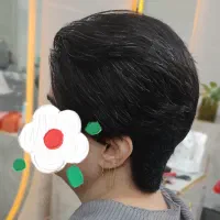 انواع کوتاهی ساده/ ژورنالی همراه با براشینگ رایگان