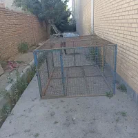 قفس سگ|لوازم جانبی حیوانات|اردبیل, |دیوار
