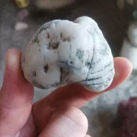 سنگ شجر بسیار عالی دریای