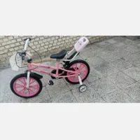 دو عدد دوچرخه 16