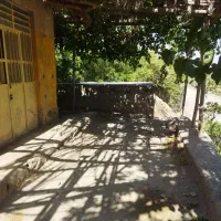 خونه و باغ در سیرچ