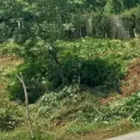 کد289 فروش زمین در منطقه زمیدان