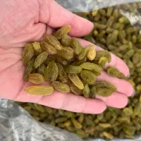 کشمش صادراتی طلایی و سبز