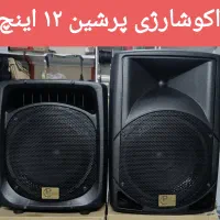 اکو شارژی ۱۲ اینچ ایرانی