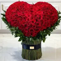 دسته گل تولد ، گل رز هلندی ممتاز ، دسته گل تبریک