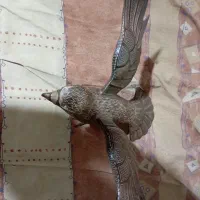 وسایل علامت
