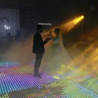 دیجی بانوان