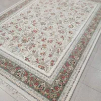 فروشگاه فرش ماشینی در قلب بوشهر ()نرسیده تنگک دوم