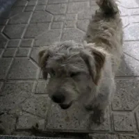 گمشده در منطقه اتشگاه