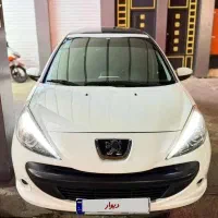 207 پاناروما فول 402