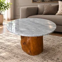 میز جلومبلی رایکا صفحه سنگ و پایه تنه درخت