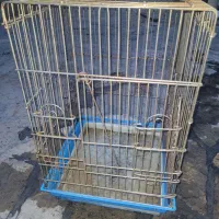 قفس کاسکویی