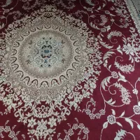 فرس وتخت خواب