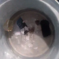 سرکتاب تاس