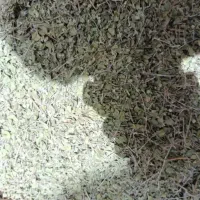 آویشن کوهی