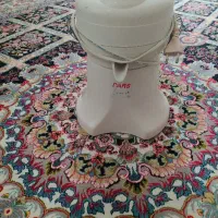 آبمیوه گیری پارس