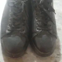کفش ونس