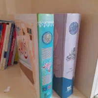 دو جلد کتاب نهج البلاغه