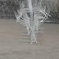 حفاظ روی دیوارتنها تولیدکننده حفاظ شاخگوزنی جنگلی