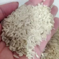 فروش ،برنج محلی