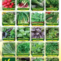 بذر گیاه هان دارویی و زینتی و سبزی جات و صیفی‌جات