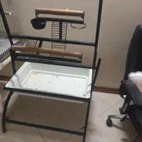 پارک پرنده