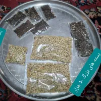 اسپند|صنایع دستی و سایر لوازم تزئینی|تبریز, |دیوار