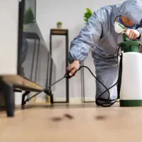 سمپاشی تخصصی وصددرصدتضمینی