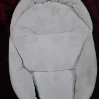 آغوشی سوییسی
