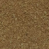 فروش گندم دهدشت