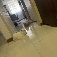 خدمات