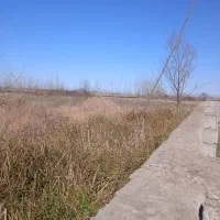 زمین مسکونی ۱۱۹۱ متری ۱۰۰۰ متر تا دریا|فروش زمین و ملک کلنگی|رشت, صفاری|دیوار